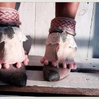 /album/modelos-bajo-pedidos/pink-lady-jpg/